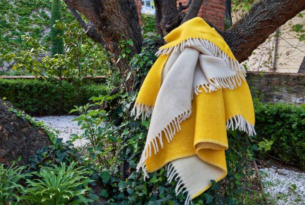 تصویر 3 از پتو طراحی مدرن مناسب فضای امروزی