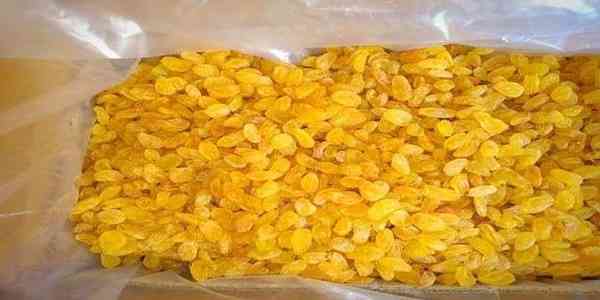 تصویر 4 از کشمش تیزابی دانه‌ درشت با ظاهر یک دست