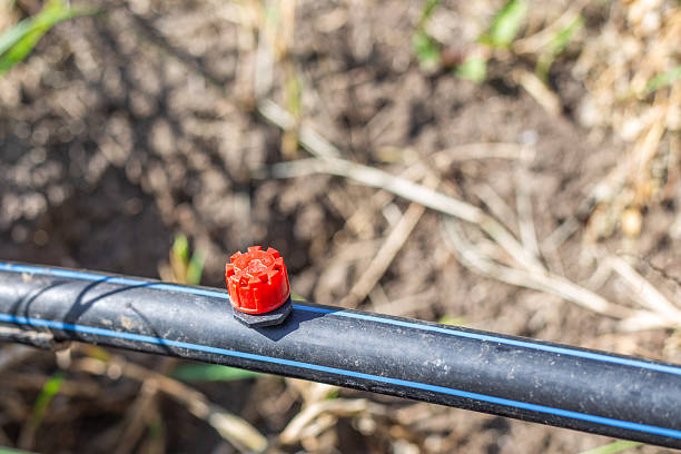 تصویر 4 از شلنگ آبیاری کشاورزی و صنعتی قطره ای دقیق کم مصرف