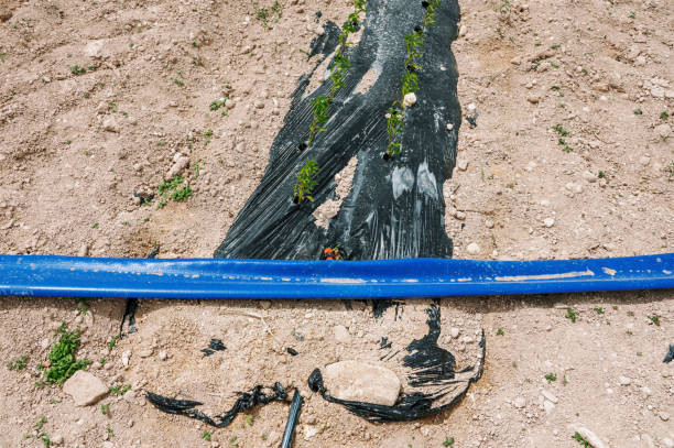 تصویر 1 از شلنگ آبیاری کشاورزی و صنعتی لاستیکی سنگین ضد ترک