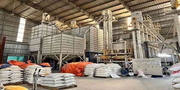 تصویر 4 از کشمش تیزابی با ماندگاری بالا در نگهداری