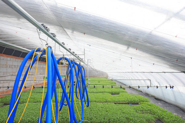 شلنگ آبیاری کشاورزی و صنعتی مارپیچی مناسب گلخانه