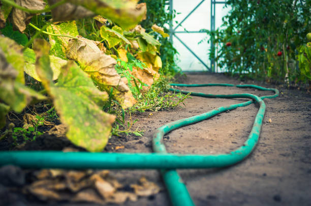 تصویر 2 از شلنگ آبیاری کشاورزی و صنعتی مارپیچی مناسب گلخانه