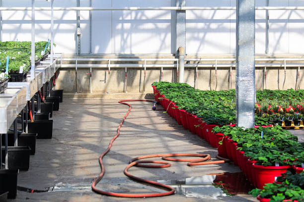 تصویر 3 از شلنگ آبیاری کشاورزی و صنعتی مارپیچی مناسب گلخانه