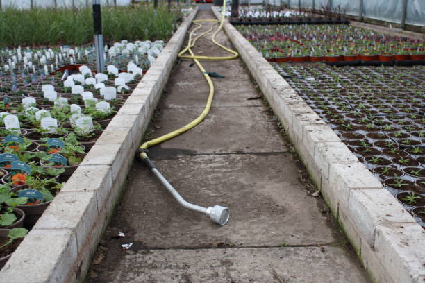 تصویر 4 از شلنگ آبیاری کشاورزی و صنعتی مارپیچی مناسب گلخانه