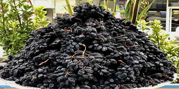 کشمش آفتابی دانه‌ درشت با ظاهر یک دست