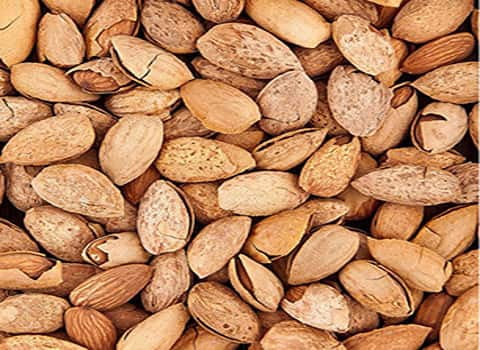 تصویر 4 از بادام درختی شیرین گزینه مناسب تنقلات