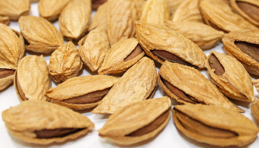 تصویر 3 از بادام درختی شور مغز آماده مصرف