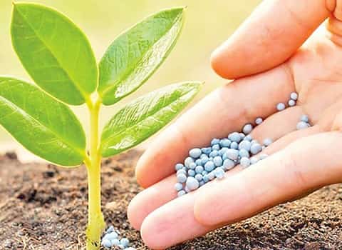 تصویر 2 از گوگرد گرانول اصفهان استاندارد تولید واحدهای فرآیندی