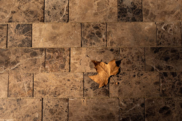 تصویر 2 از سنگ تراورتن شکلاتی تیره خاص پروژه های لوکس