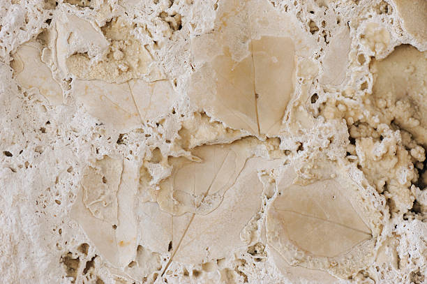 تصویر 2 از سنگ تراورتن خام فرآوری نشده سبک روستیک