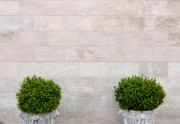 سنگ تراورتن رنگ ثابت ماندگار نمای بیرونی