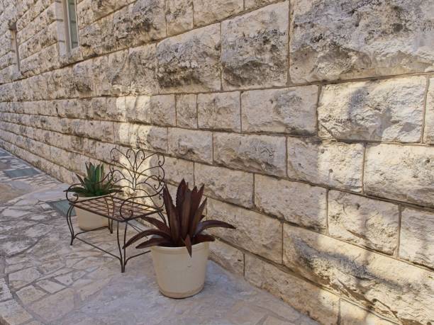 تصویر 2 از سنگ تراورتن سطح زنده الهام گرفته طبیعت