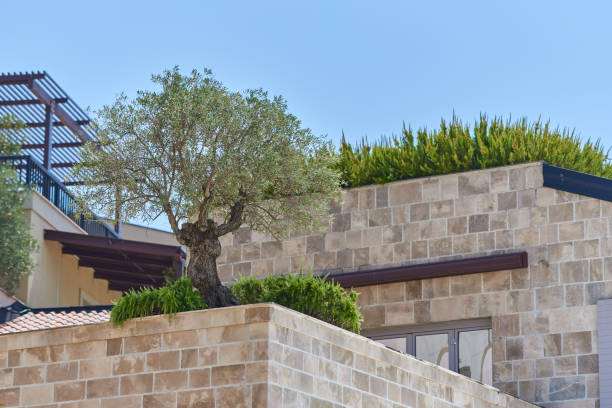 تصویر 4 از سنگ تراورتن سطح زنده الهام گرفته طبیعت