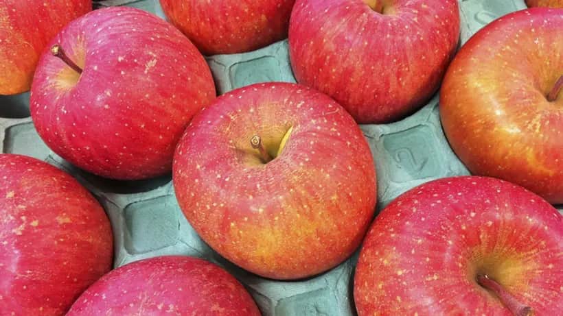 تصویر 3 از سیب قرمز محور با کنترل کیفیت چند مرحله ای