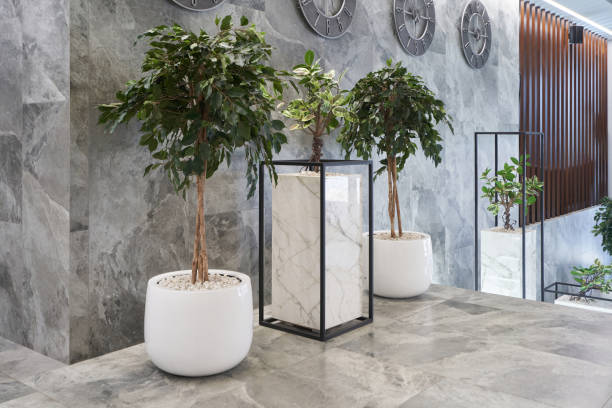 تصویر 1 از سنگ تراورتن کاربرد مهندسی پروژه بزرگ