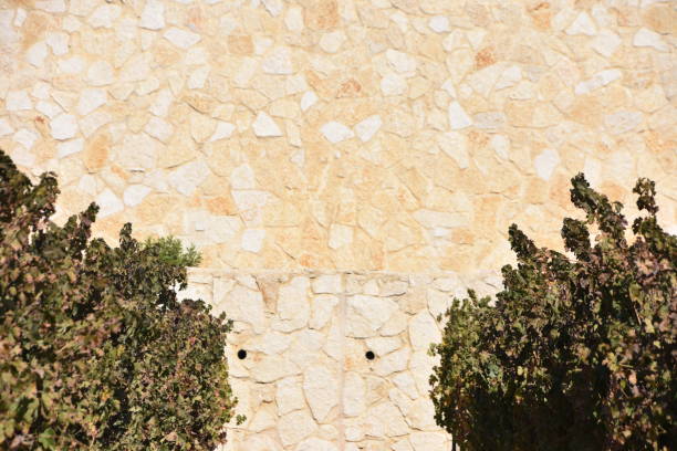 تصویر 4 از سنگ تراورتن جلوه طبیعی پایدار کیفیت عالی