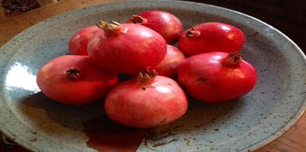 تصویر 2 از انارسیاه سمرقندی باغی طبیعی با رنگ قرمز براق