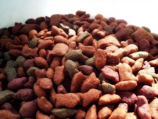 غذا گربه با ترکیب گیاهی برای هضم راحت