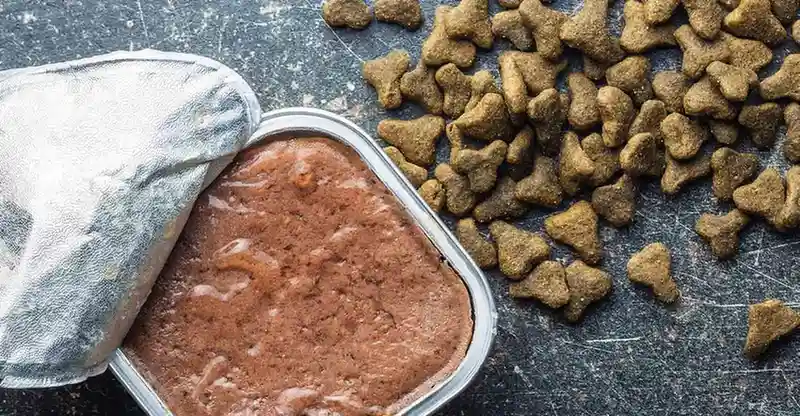 غذا گربه با طعم ماهی تازه برای گربه های بالغ