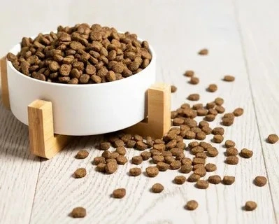 غذا گربه برای بهبود عملکرد گوارش و سلامت روده