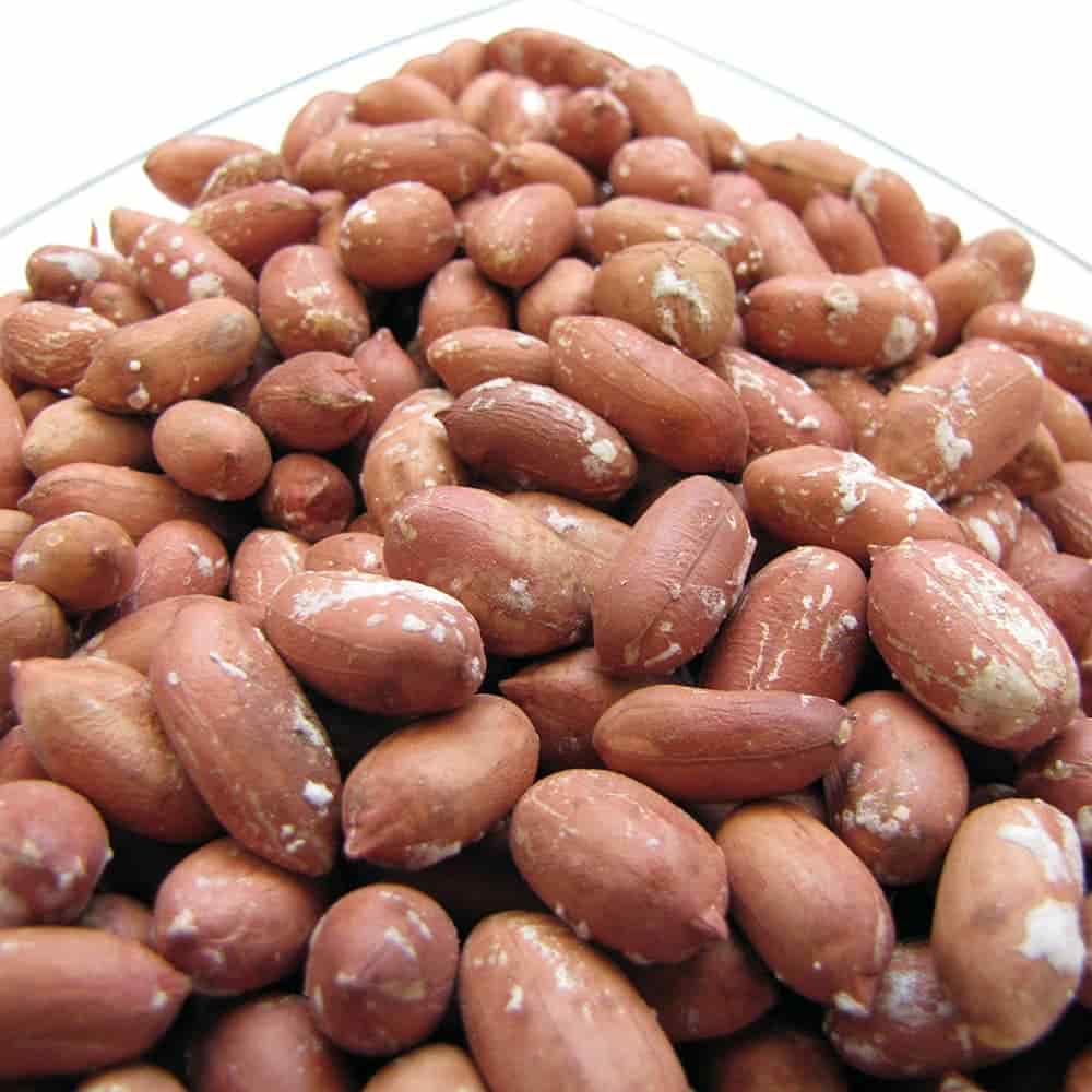 بهترین بادام زمینی شور با کیفیت عالی و طعم طبیعی