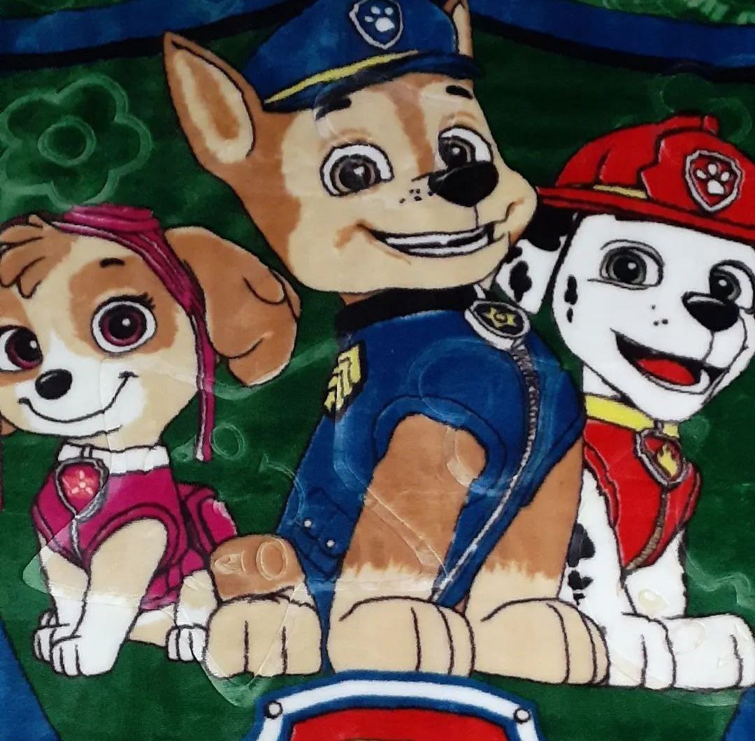 قیمت عمده و پخش ارزان و باکیفیت پتو نوجوان زنبق