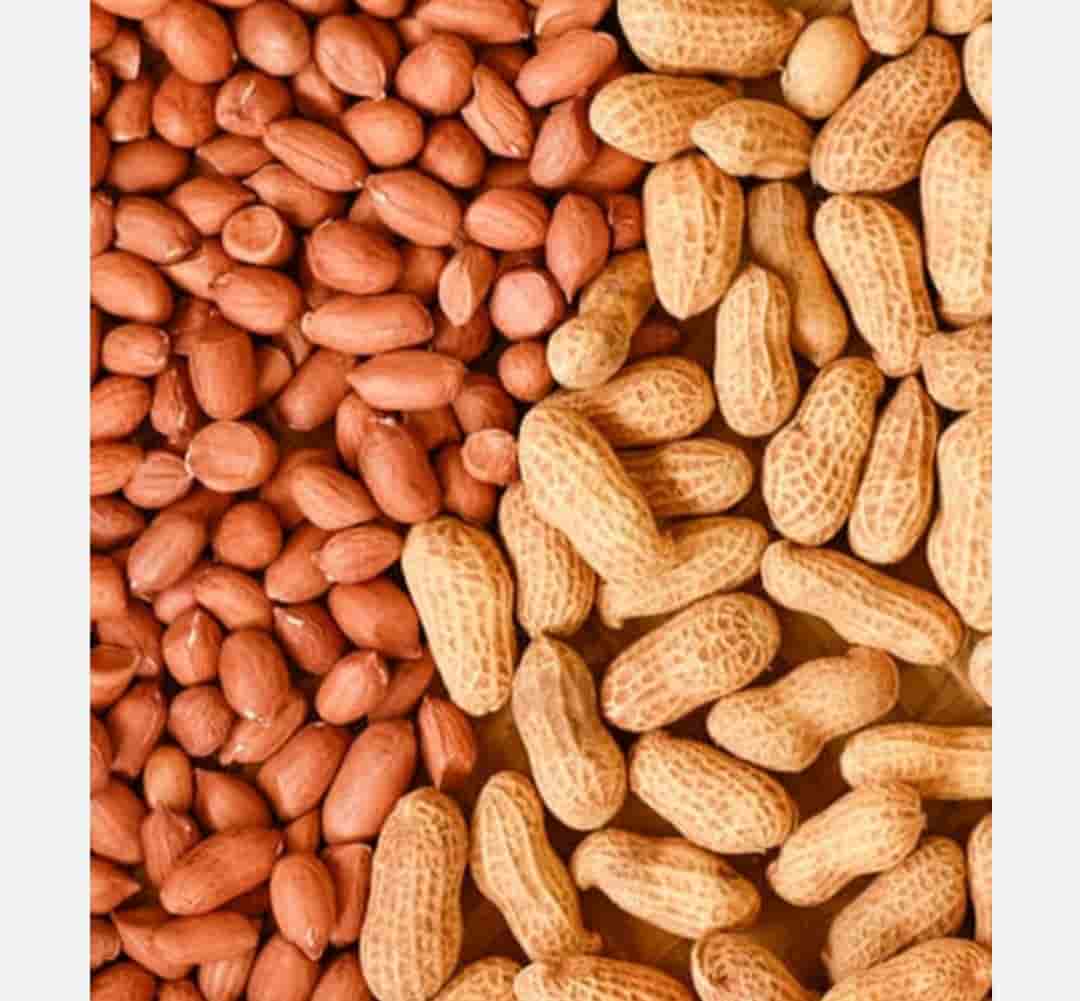 تصویر 3 از بادام زمینی با پوست شور با بسته بندی استاندارد و بهداشتی