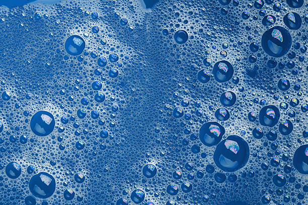 تصویر 3 از شامپو مخصوص موهای بلوند دکلره شده