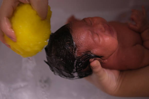 تصویر 1 از شامپو آنتی باکتریال مناسب پوست سر چرب