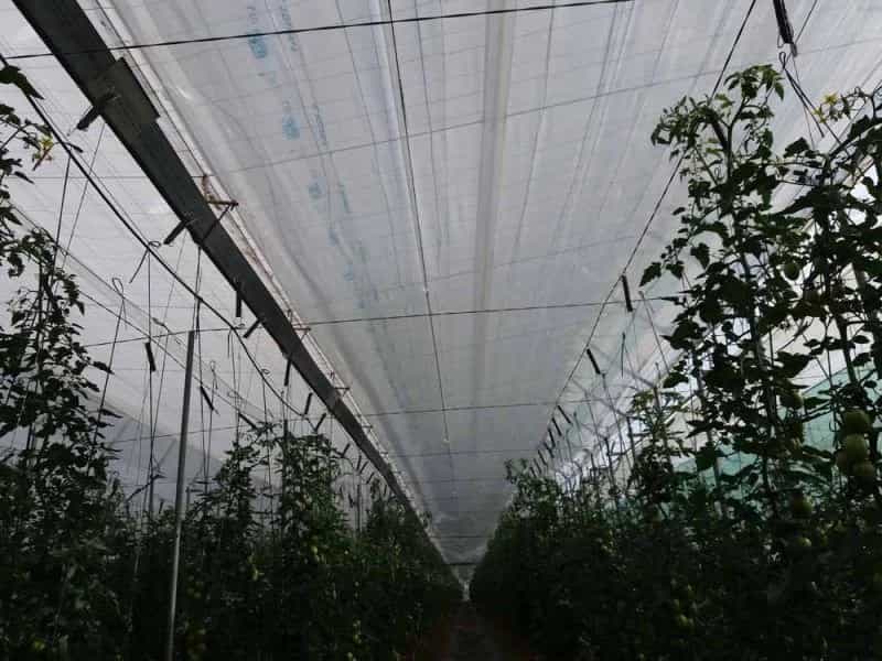 تصویر 4 از نایلون عریض گلخانه ای مقاوم در برابر کشش