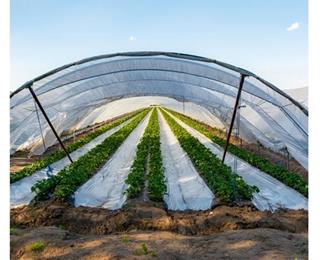 تصویر 3 از نایلون عریض گلخانه ای برای محافظت مصالح در شرایط مختلف