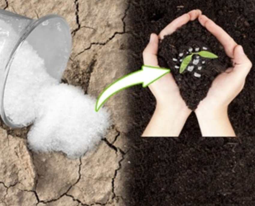 خرید هیدروژل کشاورزی بسته 7 کیلویی مناسب درختان