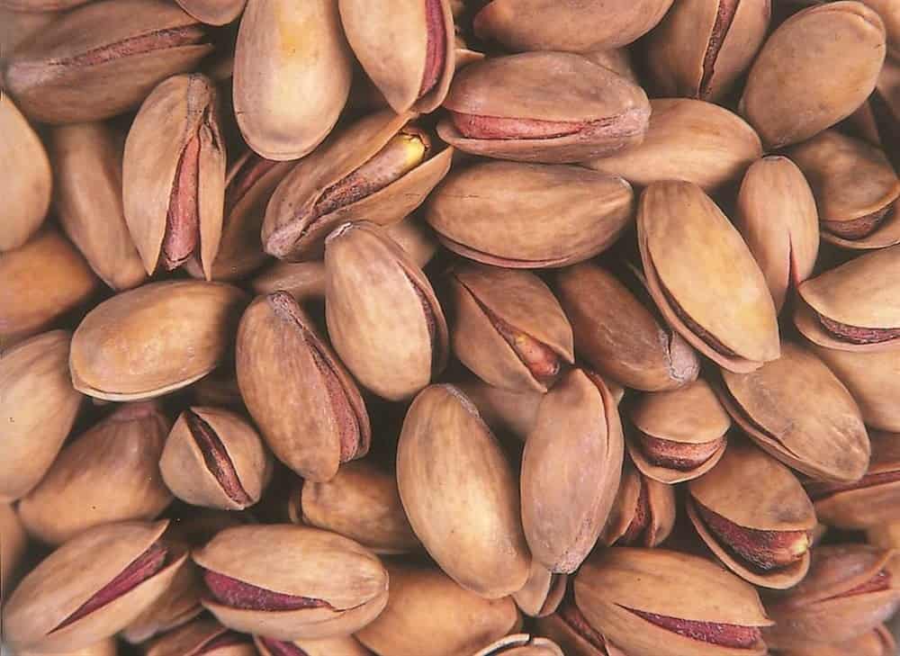 تصویر 2 از پسته اکبری خندان طبیعی با سایز درشت و تازه