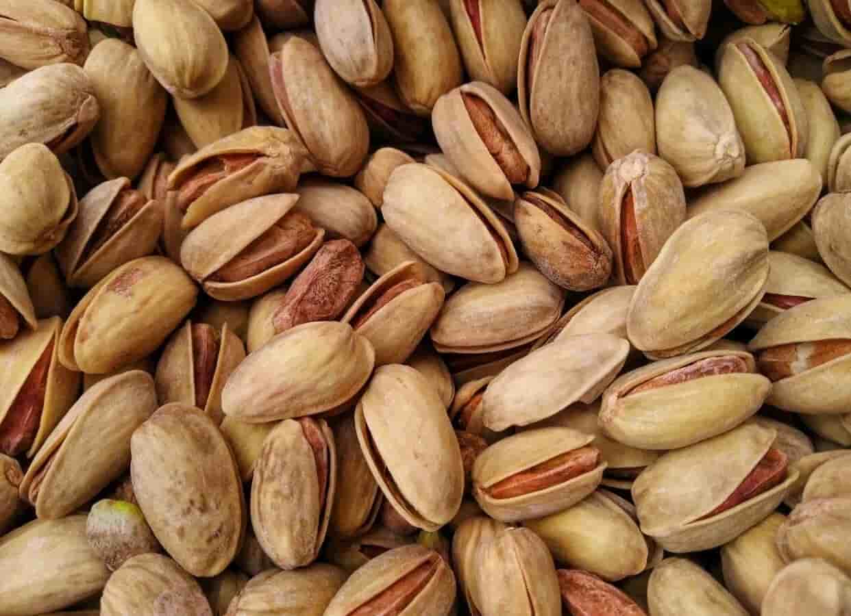 تصویر 4 از پسته اکبری خندان طبیعی با سایز درشت و تازه