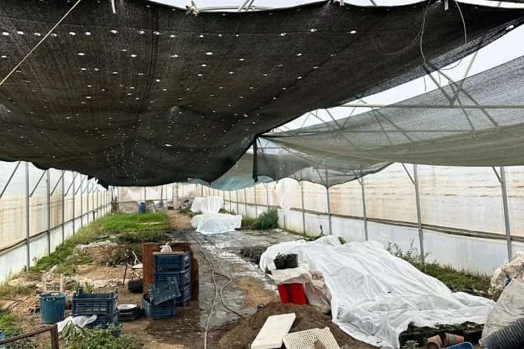 تصویر 4 از نایلون گلخانه ای اصفهان حرفه ای با دوام طولانی و عملکرد پایدار