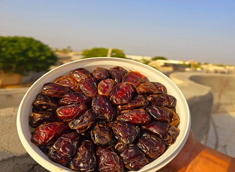 خرما کبکاب جنوب + اصیل و طبیعی