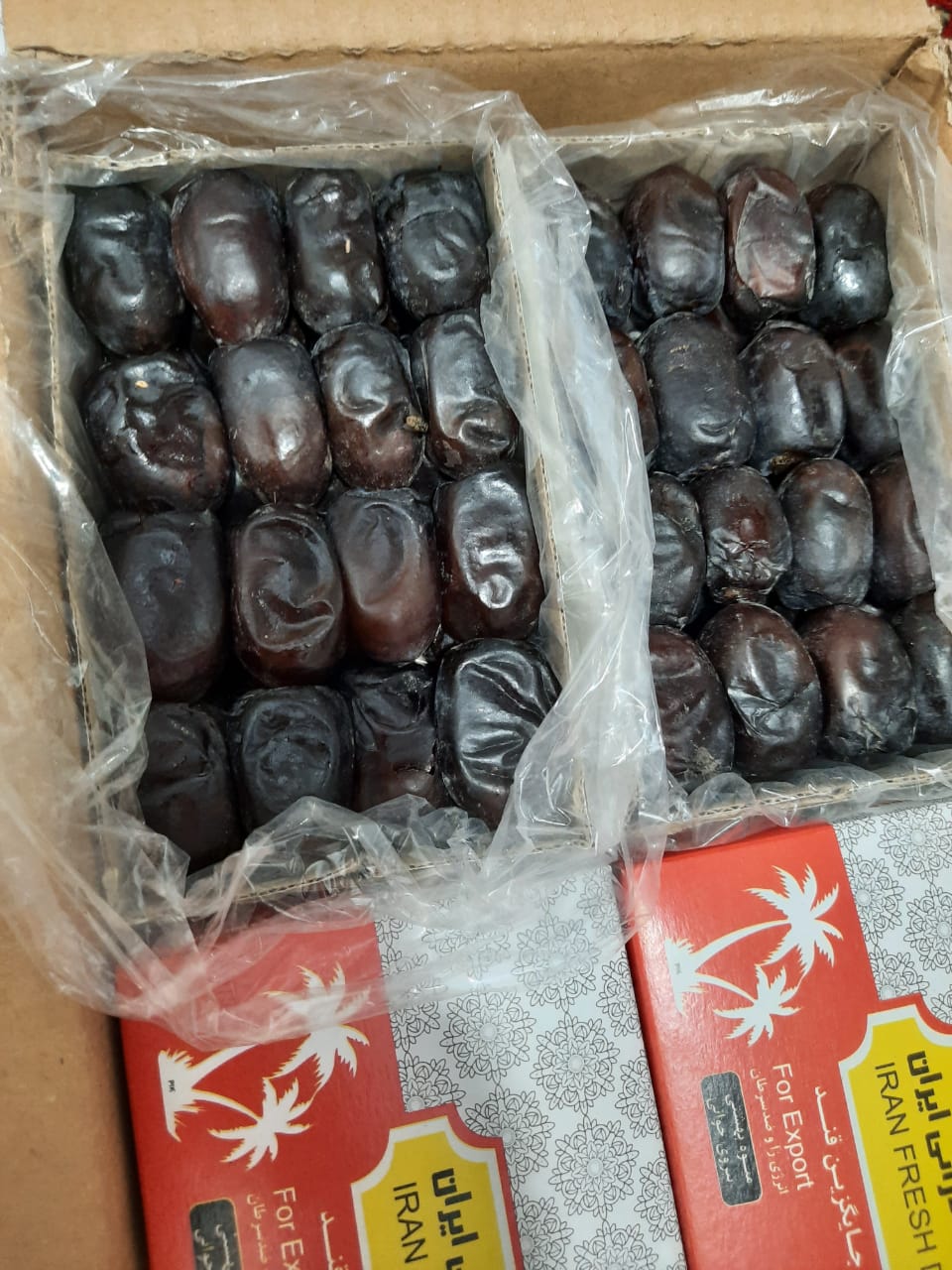 تصویر 2 از فروش عمده خرما مضافتی جیرفت