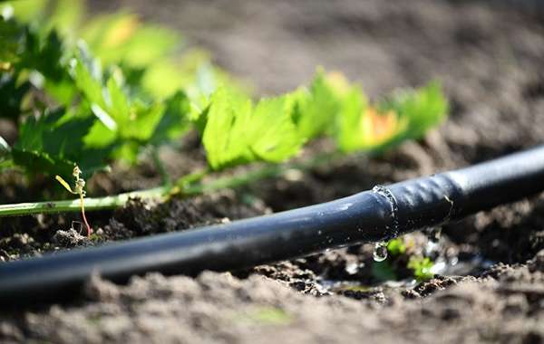 تصویر 2 از شیلنگ پلاستیکی آبیاری مدل مقاوم در برابر نور خورشید