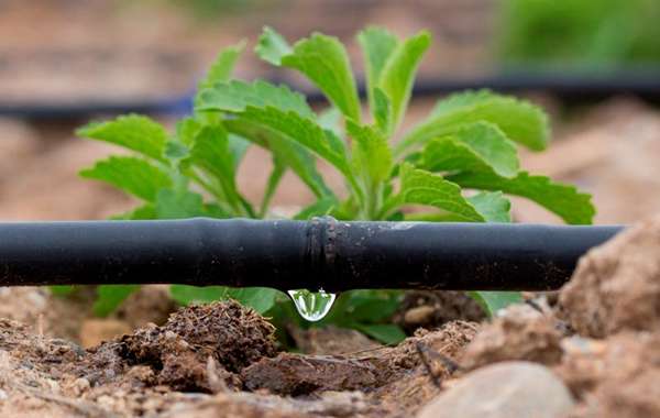 شیلنگ پلاستیکی آبیاری مدل مقاوم در برابر نور خورشید