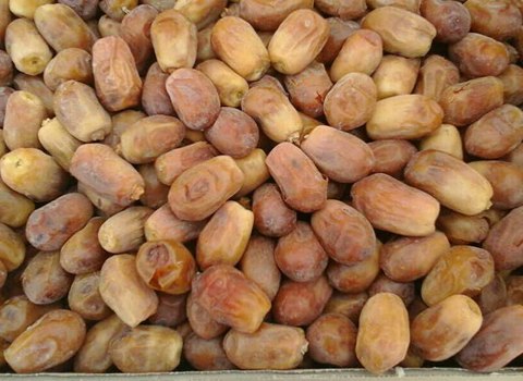 تصویر 3 از انواع خرما زاهدی صادراتی شیرین و ممتاز