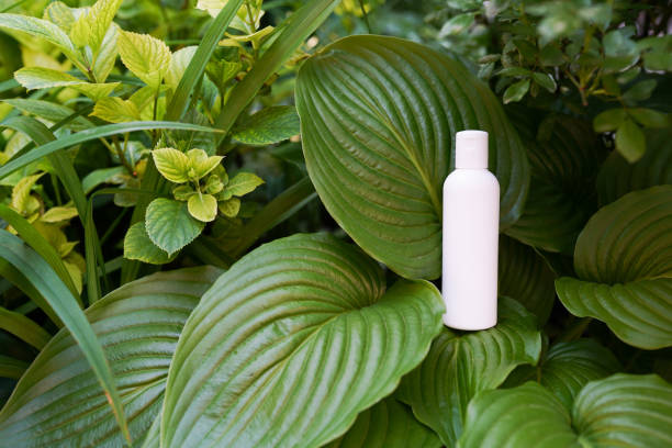 شامپو انرژی بخش و طراوت دهنده پوست سر