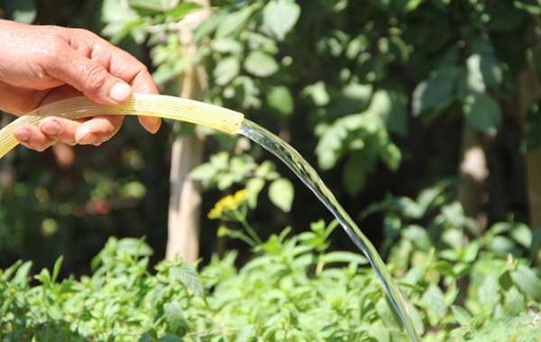 تصویر 2 از شیلنگ پلاستیکی آبیاری ضد ترک خوردگی و پوسیدگی طولانی