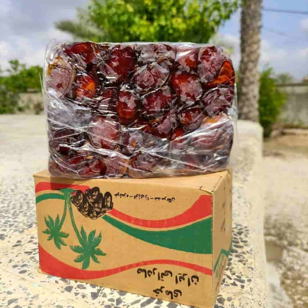 خرما کبکاب خشت یکدست و درشت با ارزش غذایی بالا
