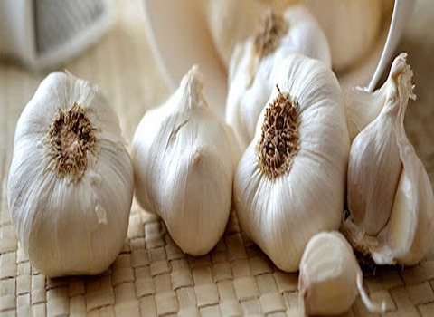 تصویر 3 از سیر شمال خوش‌ بو تازه‌ چین با بافت نرم و طعم دلپذیر