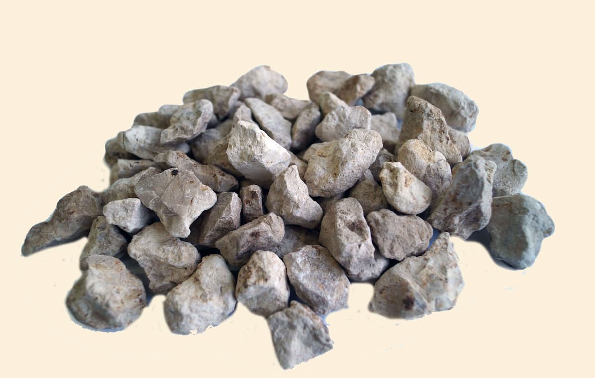 تصویر 2 از انواع زئولیت آکواریوم با بازدهی بسیار بالا