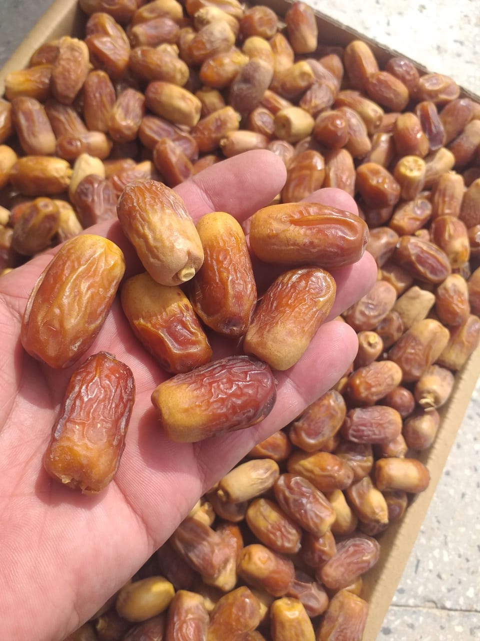 خرما زاهدی درجه یک خشک بهترین کیفیت داخلی صادراتی قیمت مناسب