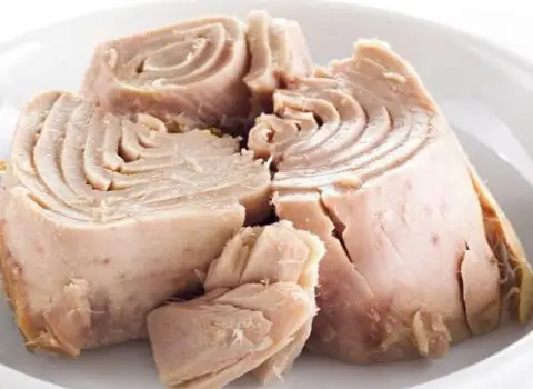 کنسرو تن ماهی بدون روغن سالم و سبک با طعم طبیعی و بافت نرم