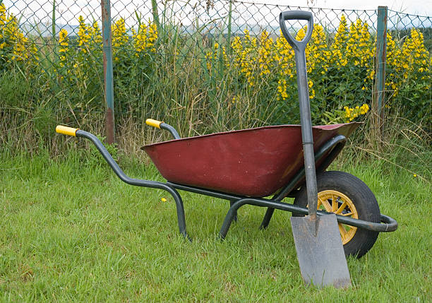 تصویر 2 از فرغون برقی عملکرد کم صدا و مناسب محیط ‌های بسته