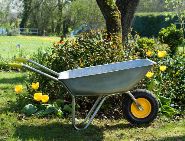 تصویر 1 از فرغون بنزینی قدرت قوی و تحمل وزن بالا برای کارهای سنگین